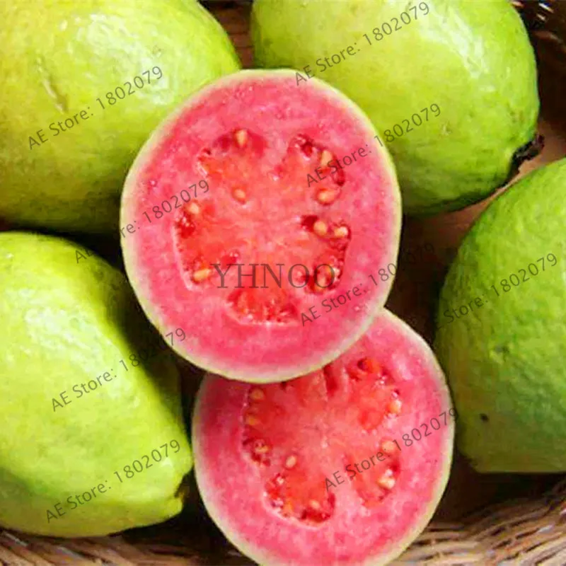 Домашний сад бонсай свежие плоды гуава Psidium Guajava Таиланд, розового цвета, больших свежие фрукты, сладких фруктов, 103 шт./пакет
