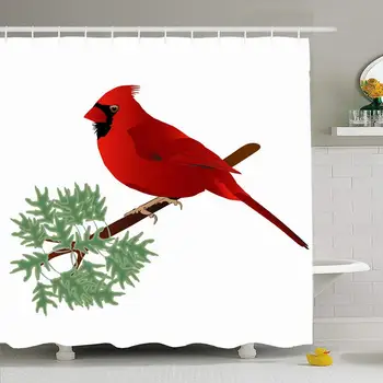 

Shower Curtain Set with Hooks 60x72 Beautiful Nature Fashion Male Birds Cardinal On Graphics Branch Song Animals Red Amazing