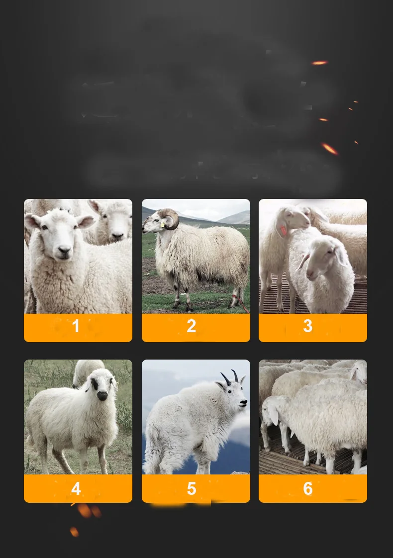 O1CN01znaa141nV670szFZC_!!3459695094