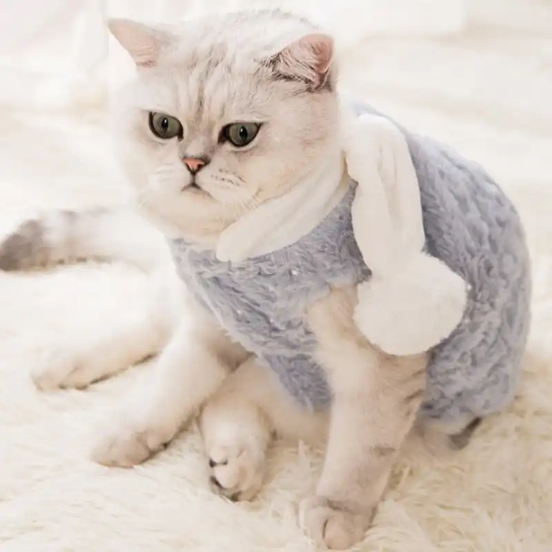 cat sweater vest