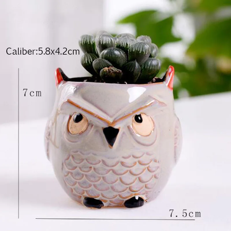 6 Pcs-set Mini Owl Flowerpot Plant Flower Pot Home Office Decor Planter Succulent Cactus Bonsai Plant Holder Garden decoration (7)