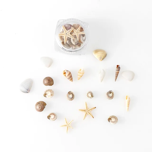 1/2/5 Box Natural DIY Nail Art Decoration Mini Shells Starfish  Conch Shells Starfish Ornaments Manicure Tools