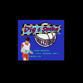 

Dig & Spike Volleyball USA Version 16 bit Big Gray Game Card For NTSC Game Player