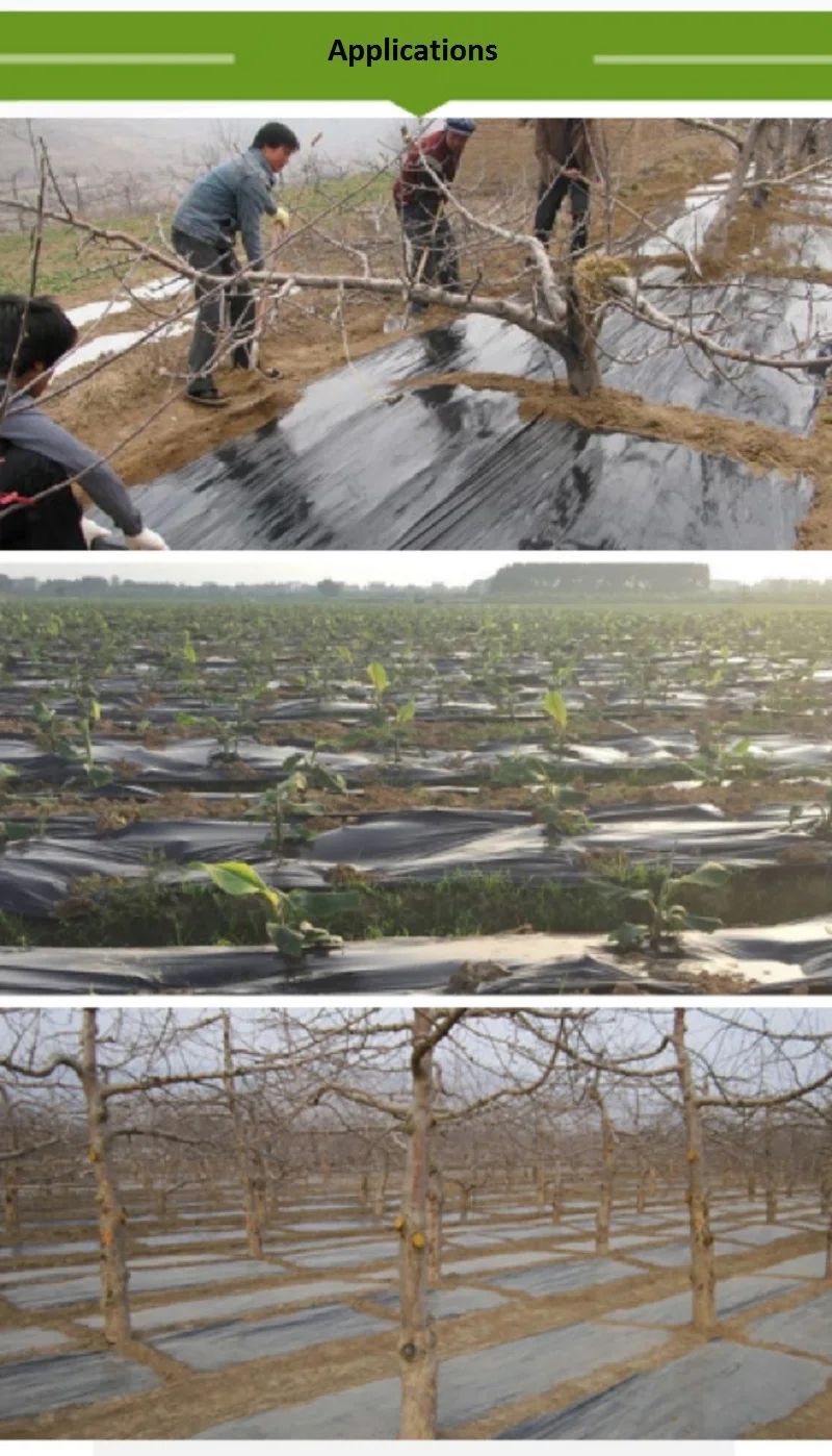 O1CN01c8rP2x1W0YGmhQ8sV_!!3864992726