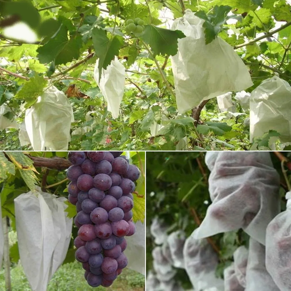 50/100Pcs Fruits Protect Bags Non-Woven Fabric Grape Cover Drawstring Mesh Bags 