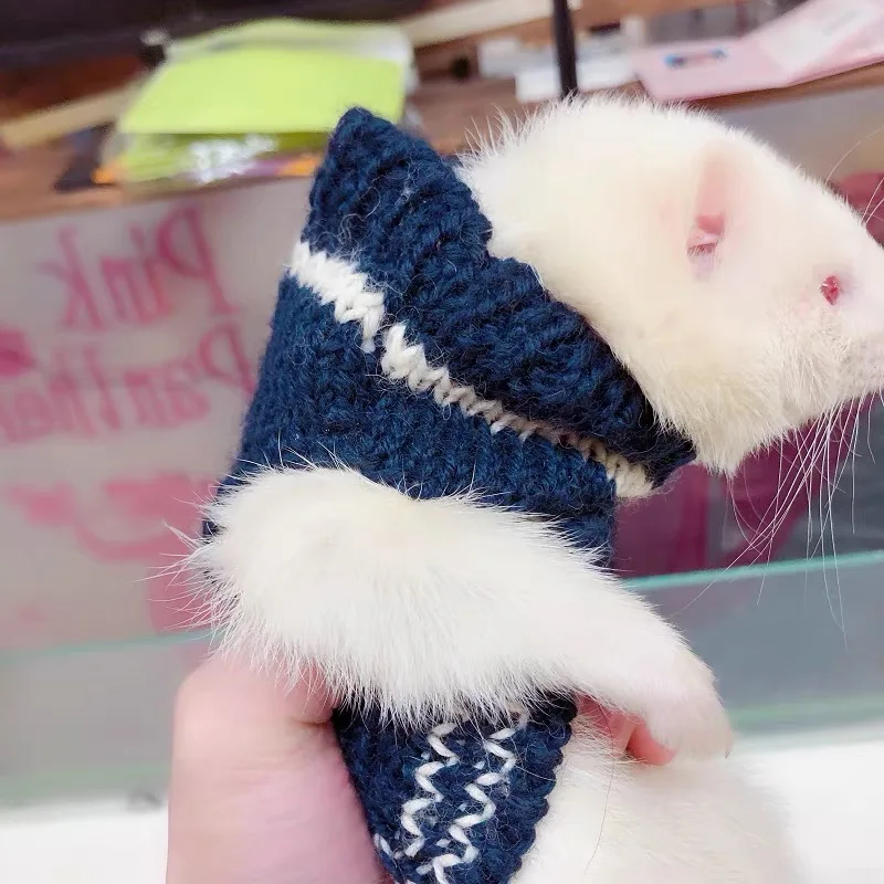 Ferret Autumn And Winter Clothes Squirrel Knitted Vest Angelo Ferret Dress Up Costume Guinea Pig Sweater Small Pet Warm Apparel