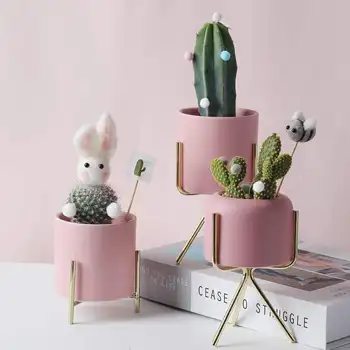 

Pink ceramic pot with Gold Metal holder bonsais naturales lithops flower pots succulent planter bloempot vertical garden pots