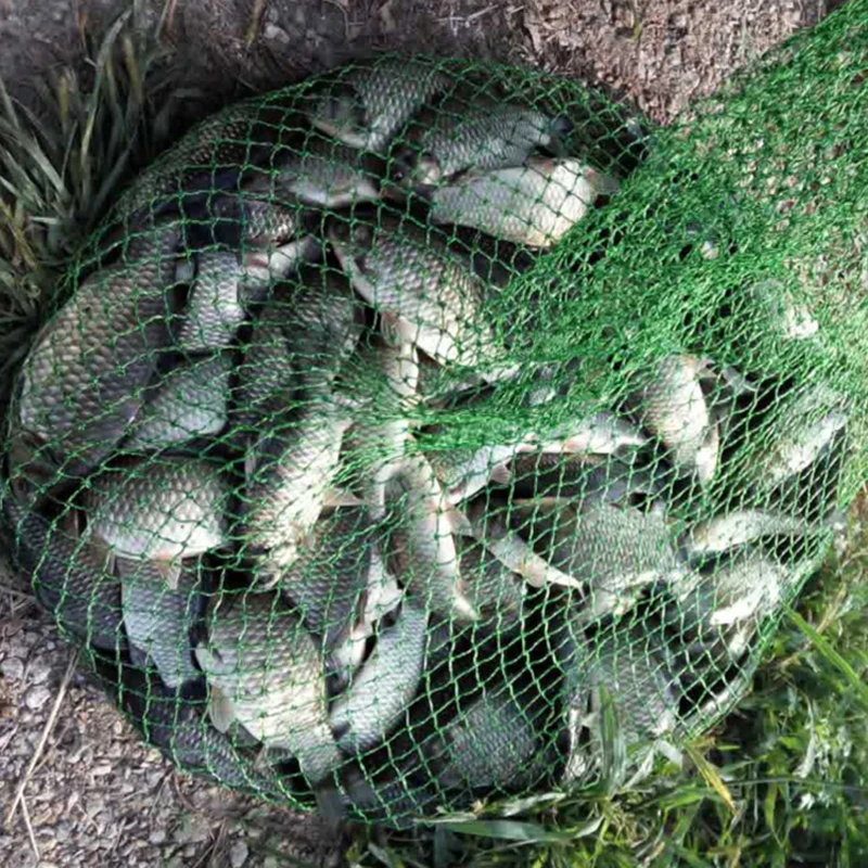 Приманка Bimoo для рыбной ловли 1 бутылка = 20 г|fishing bait|fishing additivesbait bait |