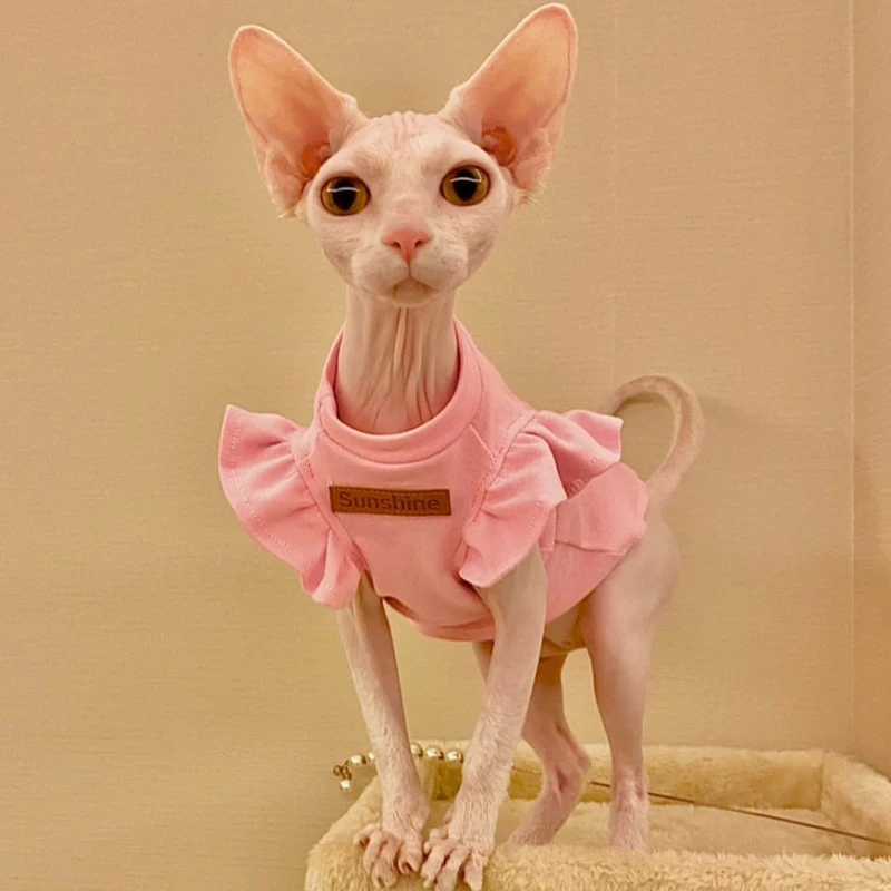 

2021 Luxury Sphynx Cat Clothes Summer Dog Fancy Dress For Hairless Cats Clothing Small French Bulldog Puppy Costume Kittens Vest