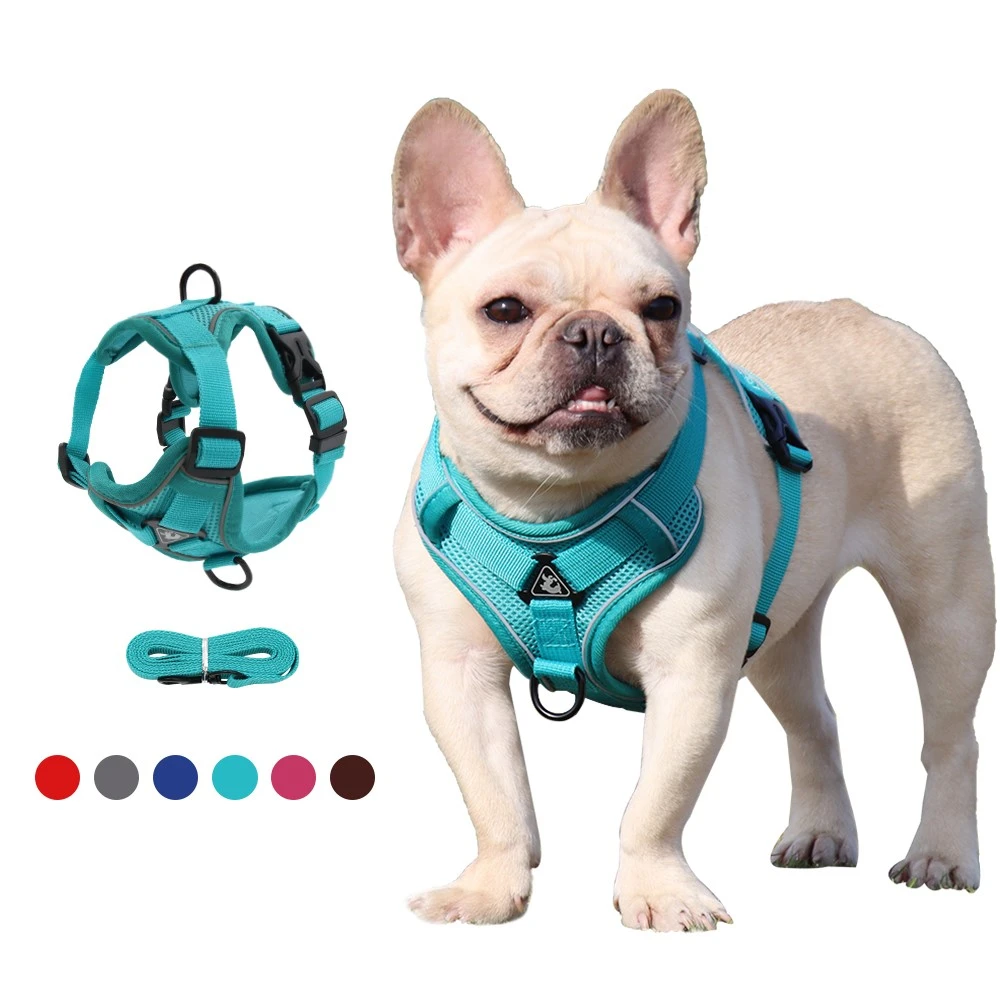 Conjunto de arnés correa para perro y gato, Collar para perros pequeños, chaleco de malla ajustable para cachorro, Bulldog Francés, Chihuahua, suministros para mascotas|Arneses| - AliExpress