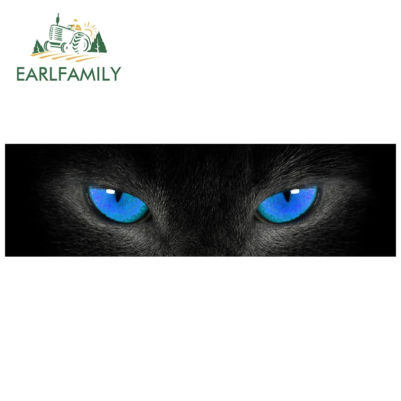 EARLFAMILY 13 см x 3 6 для лучших кошачьих игрушек забавные фотообои солнцезащитный крем