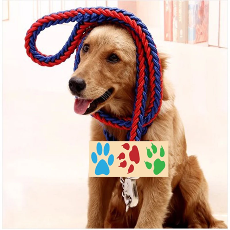 Dog Leash And Collar Set Braided Explosionproof Rope Chain For Large