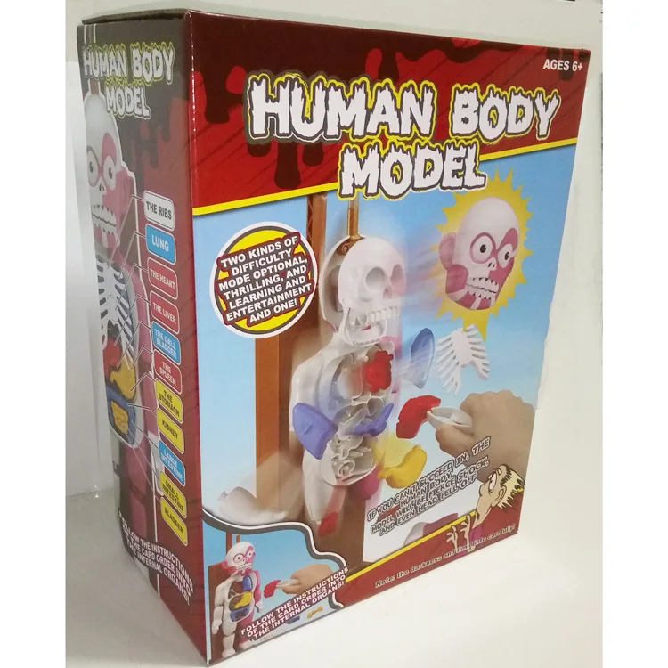

Trick Mannequin CHILDREN'S Toy Educational Fitness Toy Tabletop Game Educational Children Special Education Teaching Aids