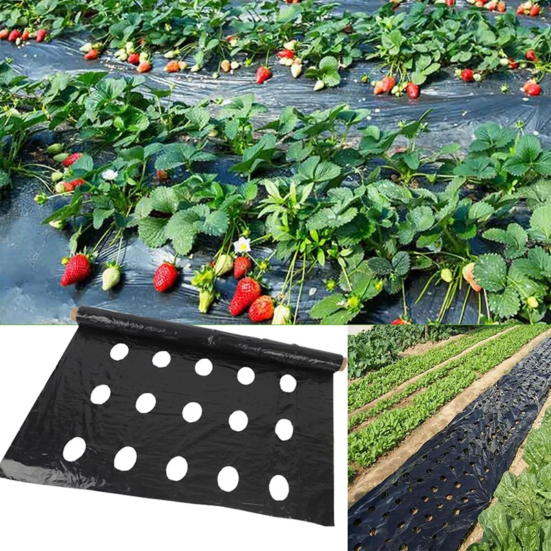 

5Holes 95cm*50m 0.02mm Black Garden Vegetable Membrane Agricultural Plants Mulching Seeding Plastic Perforated PE Film