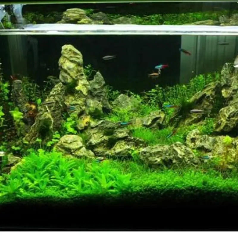 Planta acuática de Acuario, decoración de césped para jardín, pecera, planta de superficie