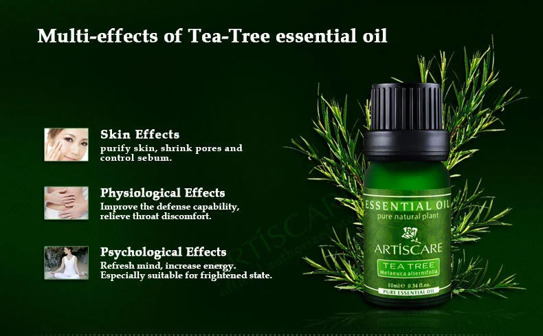 tea_tree_6