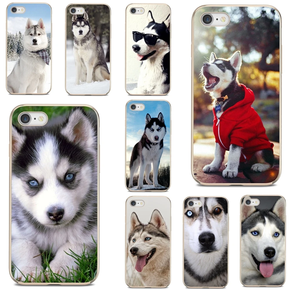 Чехлы для телефонов LG K10 K8 K7 K4 Nokia X6 2 3 5 6 8 9 230 3310 1 7 Plus 2017 2018 Husky-Dog | Мобильные телефоны
