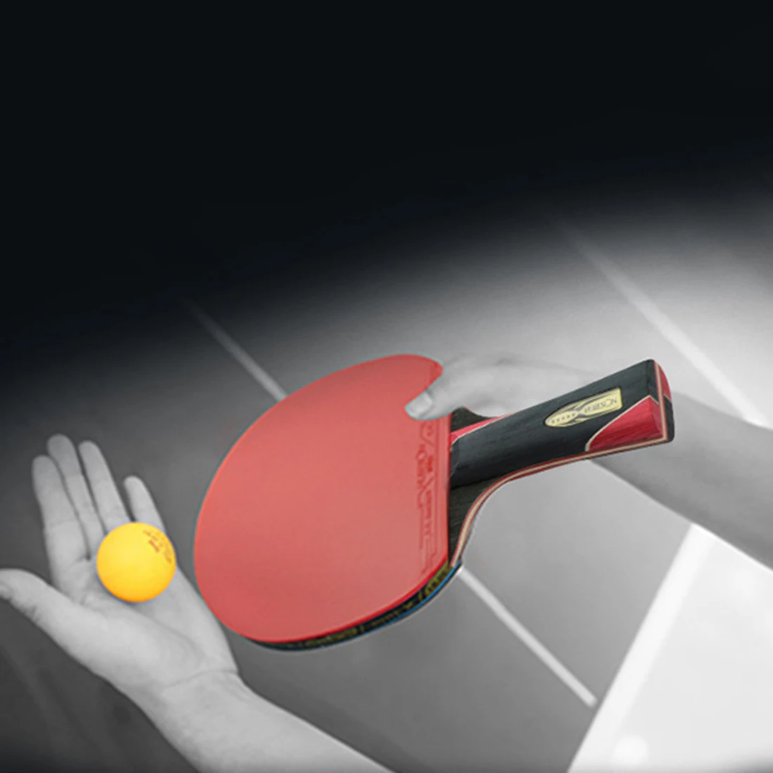 Single Professional Training Carbon Table Tennis Bat Racket Ping Pong Paddle .. 