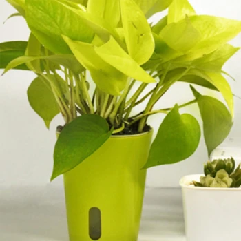 

Creative Automatic Water Absorption Flower Pot Cotton Rope Water Absorption Pot Green Planting Cauliflower Pot