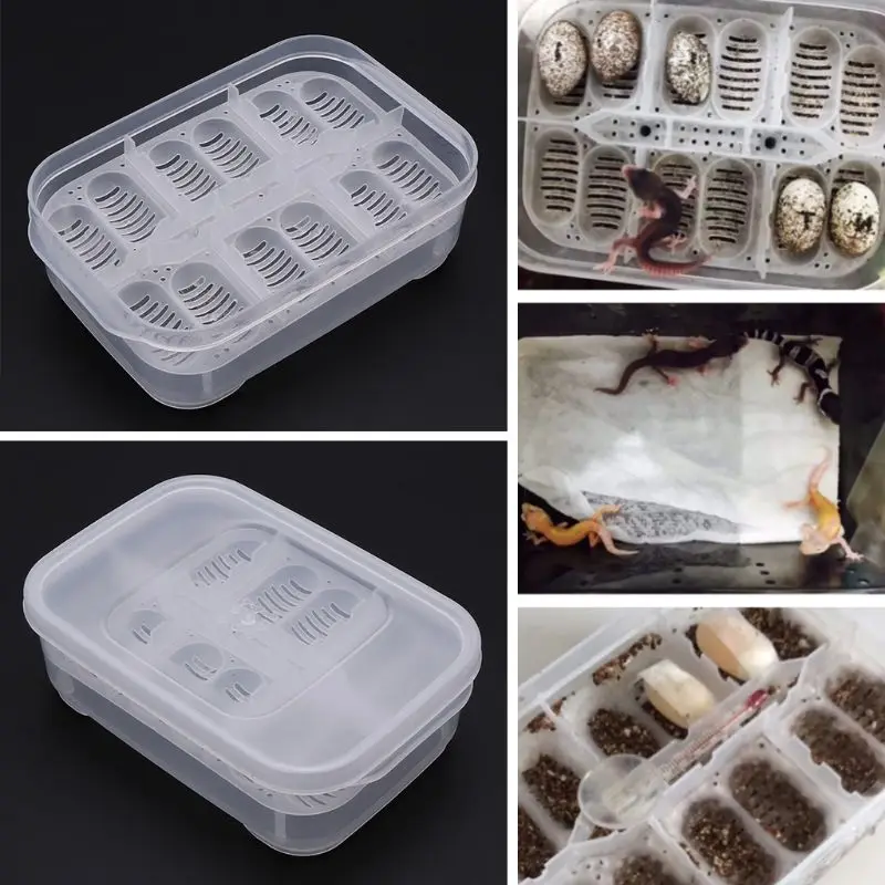Профессиональный лючок коробка Змея Ящерица рептилия лоток для яиц коробки инкубационное устройство альпинистское Животное Черепаха принадлежности для инкубаторов