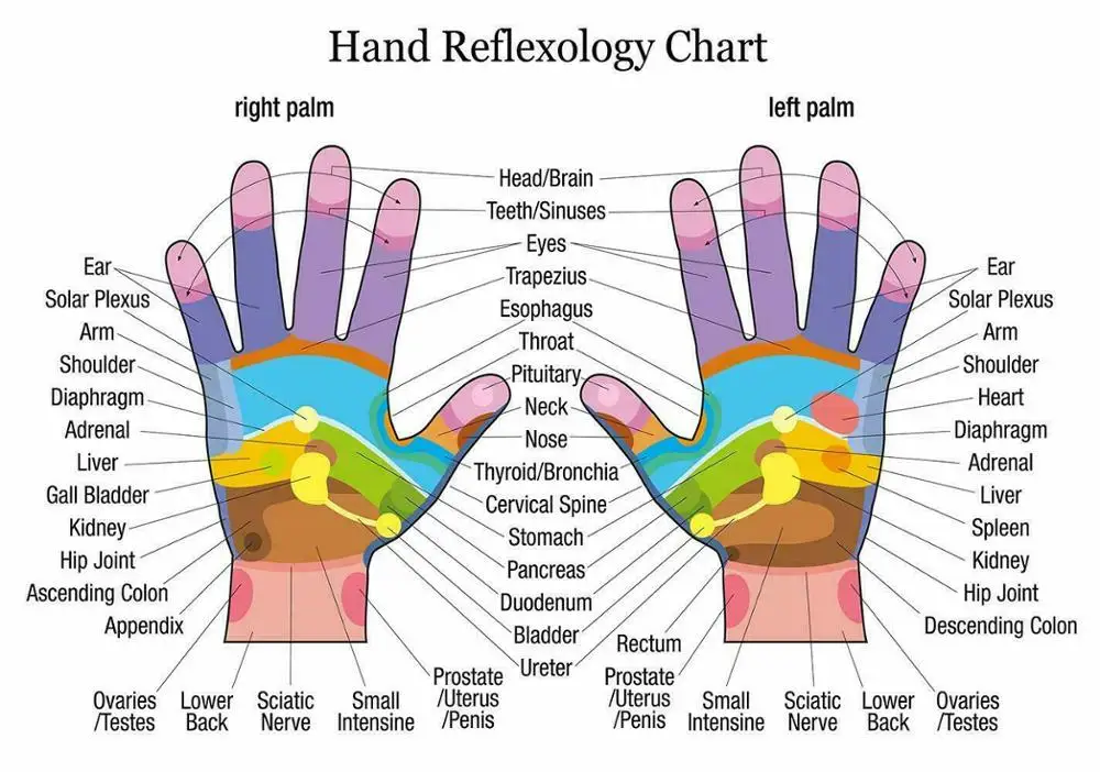 

Lot style Choose Reflexology Labeled Hand Chart Art print Silk poster Home Wall Decor