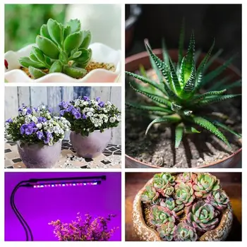 

Energy Saving Full Spectrum Plants Growth Light Plant Lamp Indoor Flower Vegetables Hydroponic High Brightness 30W USB