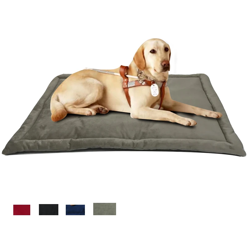 dog kennel blanket