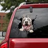 Funny Dog Head In The Crack Vinyl Car Stickers Decals Motorcycle Accessories Car window Decorative