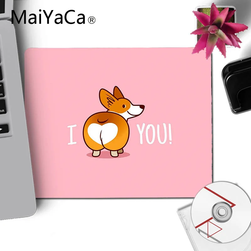 Super Cute Corgi (8)