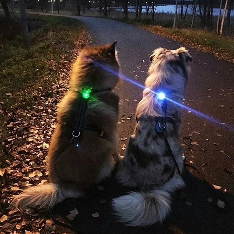 Собака яркий Воротник Подвеска светящийся в темноте светодиодный фонарик кошка поводки собачьего ошейника огни яркое ожерелье с подвеской