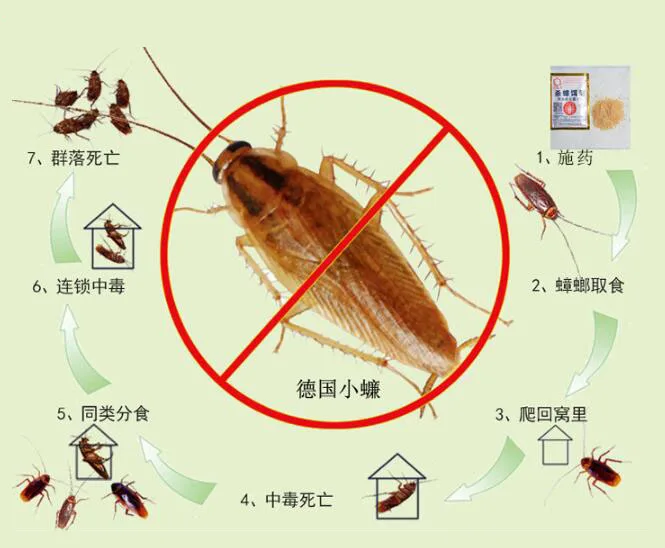 QQ20190515103623
