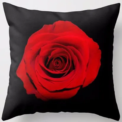 HTB1k99tKFXXXXaPXFXXq6xXFXXX8