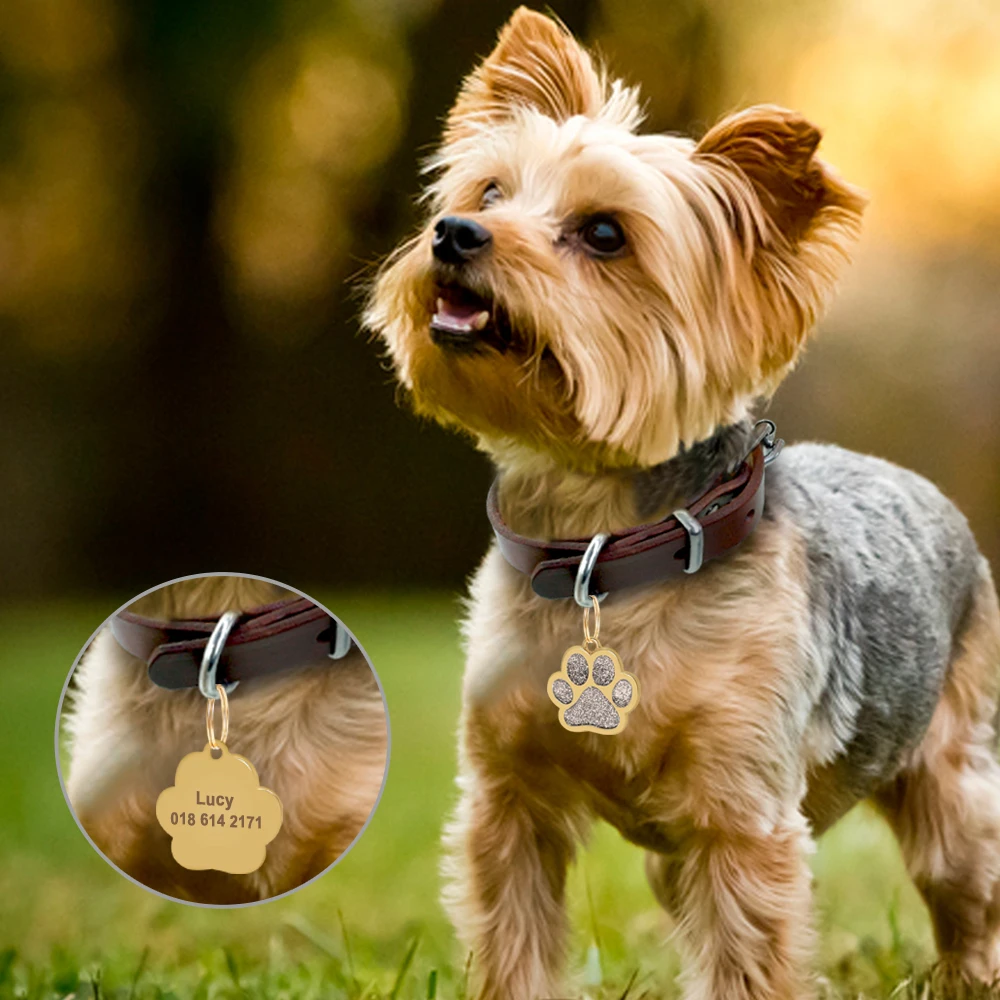 Free Engraved Pet Dog ID Tag Personalized Cat Puppy ID Tag Pet Dog Collar Accessories Custom Dogs Anti-lost Name Tags Pendant dog collars outdoors