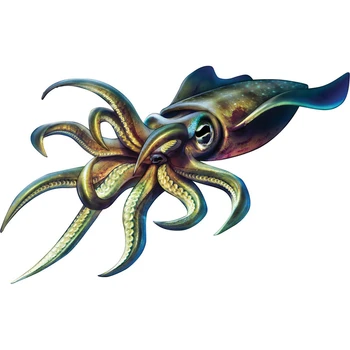 

Dawasaru Funny Squid Fishing Car Sticker Decal Waterproof Decal Laptop Suitcase Truck Motorcycle Auto Accessories PVC,16cm*16cm