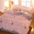 JUSTCHIC 1шт Мультфильм Коралловый Флис Пододеяльник King Size Зимний Двусторонний утолщенный Бархатный пододеяльник Home Decor