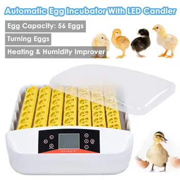 

56 Egg Incubator Chicken Hatcher Temperature Control Fully Automatic Turning Chicken Duck Eggs Incubator LED light Digital