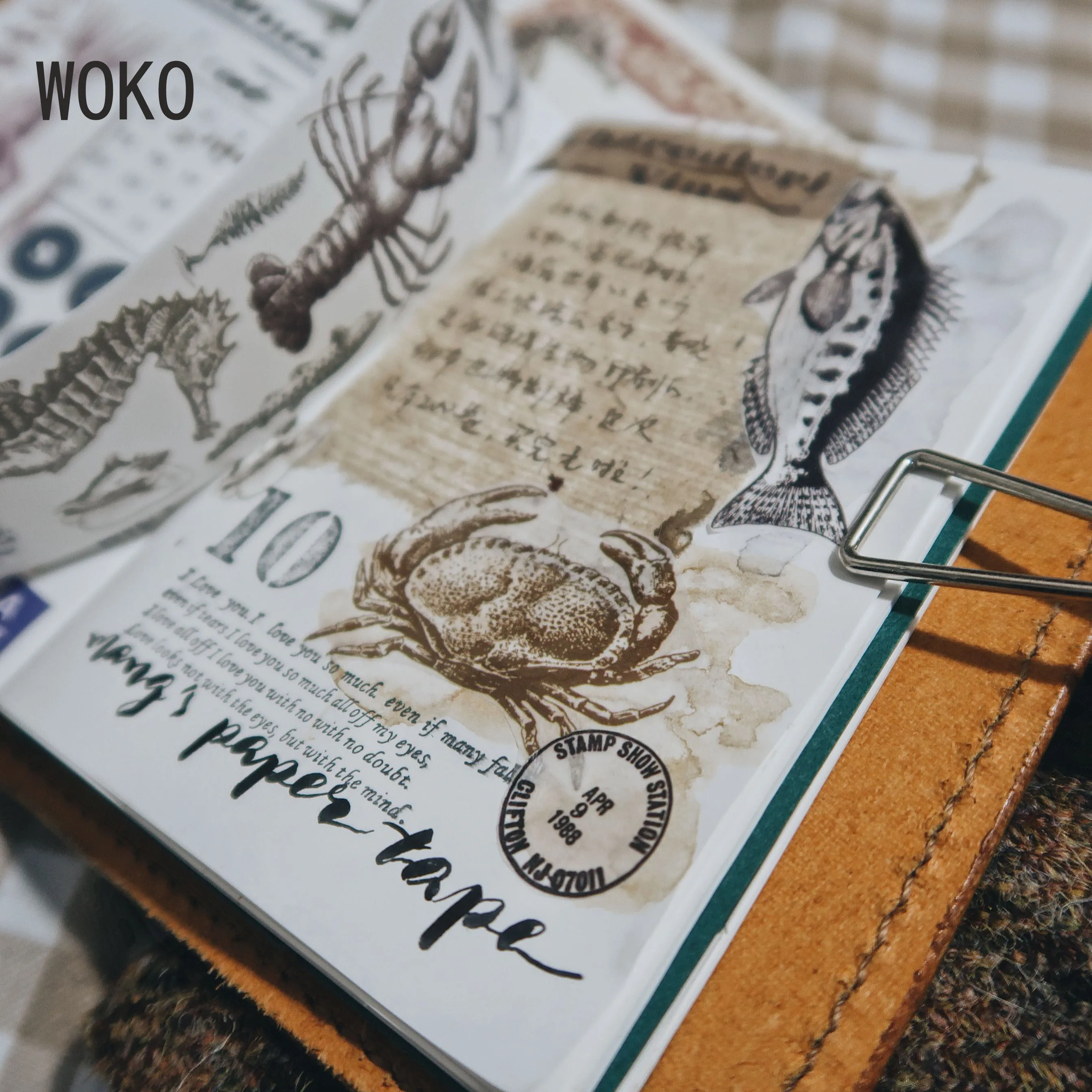 WOKO Специальные чернила 35 мм* 5 м старый подводный мир стикеры Reteo Fossil древних животных деко Васи клейкие ленты DIY Скрапбукинг маскирующая лента