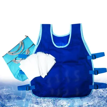 

Anti High Temperature Riding Adjustable Waist Ice Pack Body Heatstroke Cooling Vest Soft Outdoor Fishing Mesh Fabric Protective