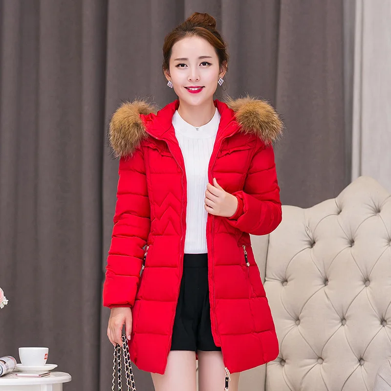 

2019 Autumn And Winter New Style Korean-style Mid-length Slim Fit Elegant Hooded Fur Collar WOMEN'S Cotton Jacket down Jacket Co