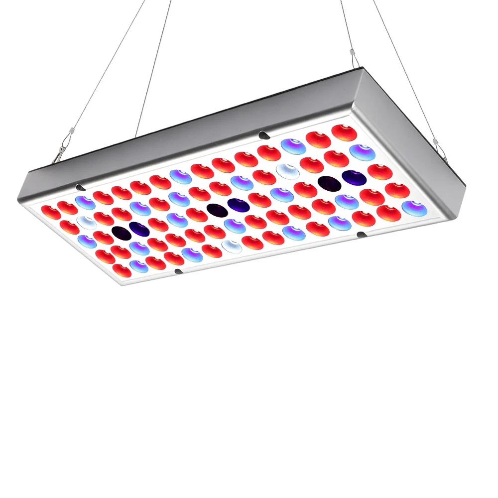 Full Spectrum Lamp Светодиодный фито-чип для выращивания, полный спектр, 25 Вт, для комнатных растений, рост рассады и роста цветов, светодиодный - Испускаемый цвет: Full Spectrum Lamp