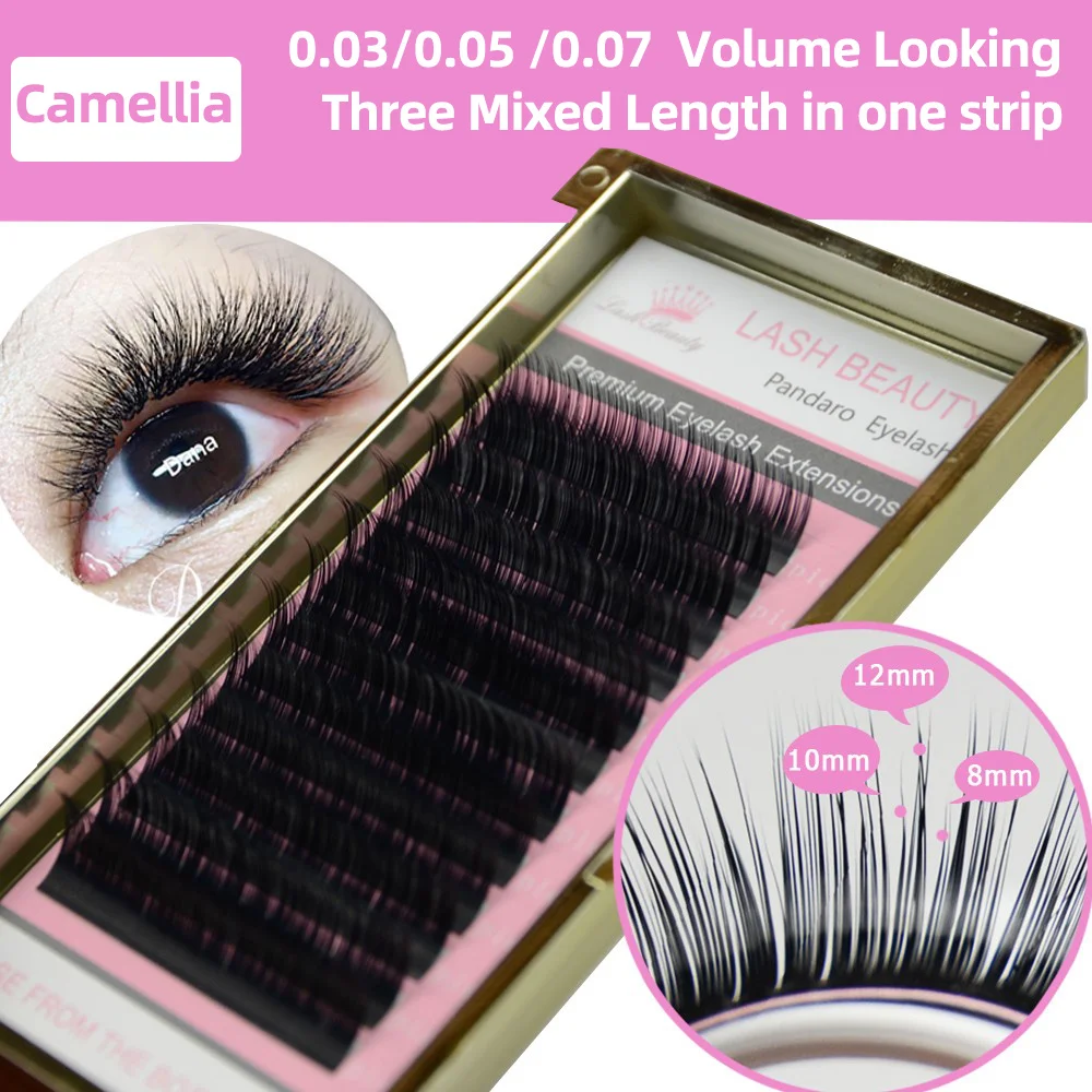 10 Trays Camellia Eyelash 3D-6D 0.03-0.07 Easy Fanning Natural Camellia Auto Fan Eyelashes Extension Golden Box High Quality 3