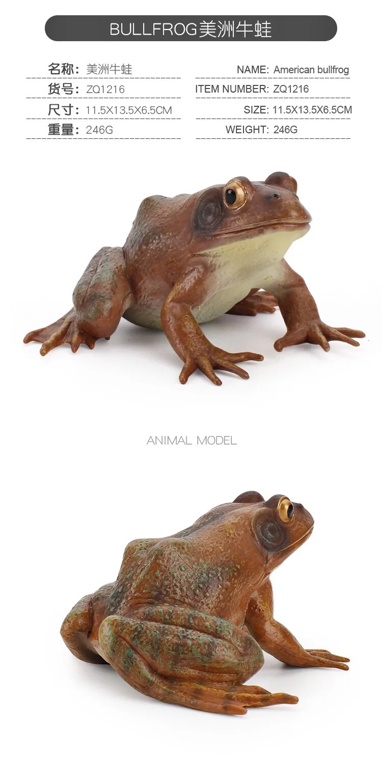 IMG_8118(20200801-160733)