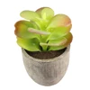 5PCS Creative Mini Faux Succulent Decor Succulent Plants Potted Plants Fake Simulation Plants with Pots for Living Room Home ► Photo 2/6