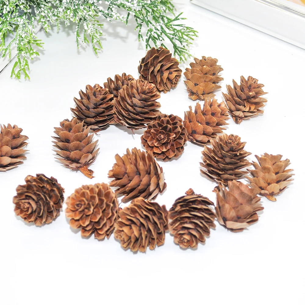 Natural pine cones (11)