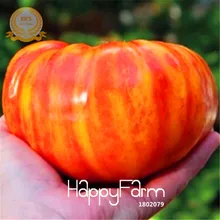 Новинка! фрукты, овощи, растения 50 шт. Heirloom большой Радужный стрипей бифштекс Томатный Сад бонсай помидор,# NPY91G
