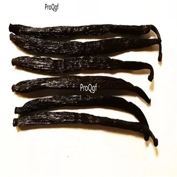 

Prodgf 20gram A Set Madagascan vanilla