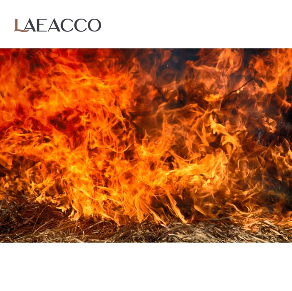 Laeacco ȭ Ÿ Ҳ   Ƽ  ʻȭ     photocall  Ʃ