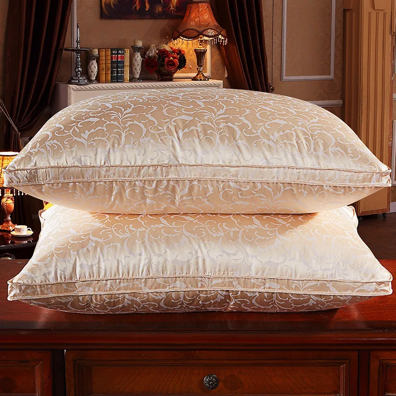 100 Chinese Natural Silk Pillows Set Super Soft Feather Velvet High