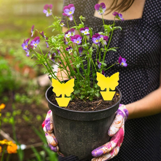 10Db Sárga Pillangó Alakú Matrica Kétoldalas Rovarcsapda Ragasztó Ragacsos Papír Növényi Virágok És Zöldségek Szúnyog - Image 4