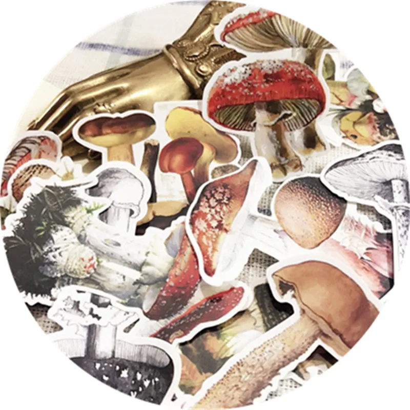 

11-16 PCS Vintage Mushroom Illustrated Sulfuric Acid Deco Stickers Diary Diy Planner Scrapbooking Sticker Label Stationery